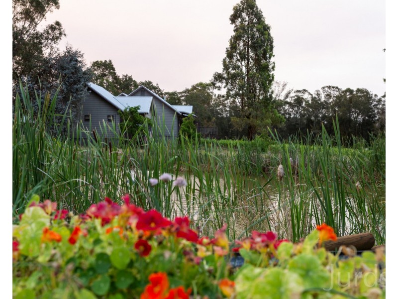 609 McDonalds Road, Pokolbin NSW 2320