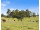 199 Anambah Road, Anambah NSW 2320