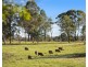 199 Anambah Road, Anambah NSW 2320
