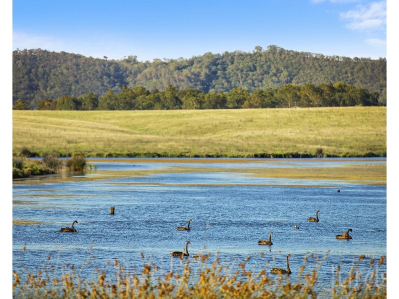 199 Anambah Road, Anambah NSW 2320