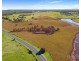 199 Anambah Road, Anambah NSW 2320