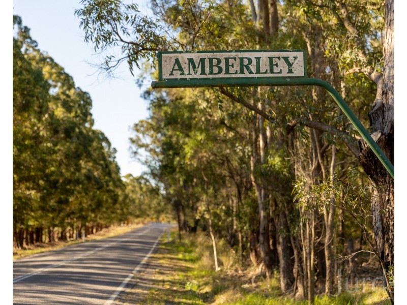 697 Wollombi Road, Broke NSW 2330