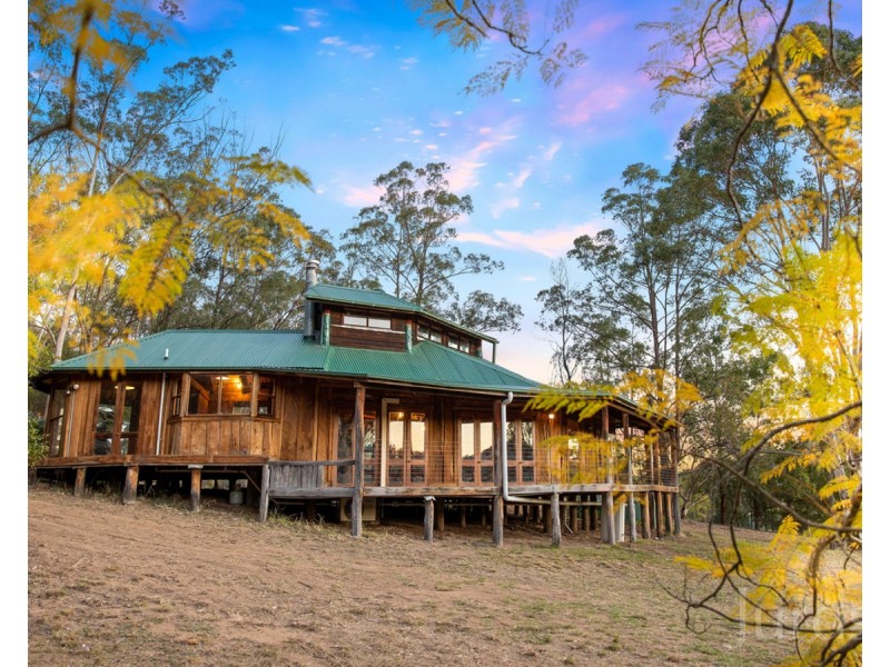 697 Wollombi Road, Broke NSW 2330
