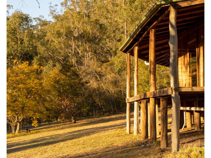 697 Wollombi Road, Broke NSW 2330