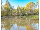 697 Wollombi Road, Broke NSW 2330