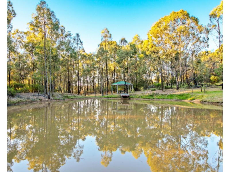 697 Wollombi Road, Broke NSW 2330