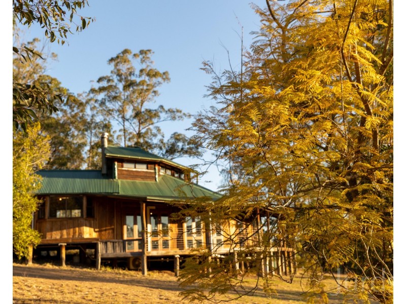 697 Wollombi Road, Broke NSW 2330