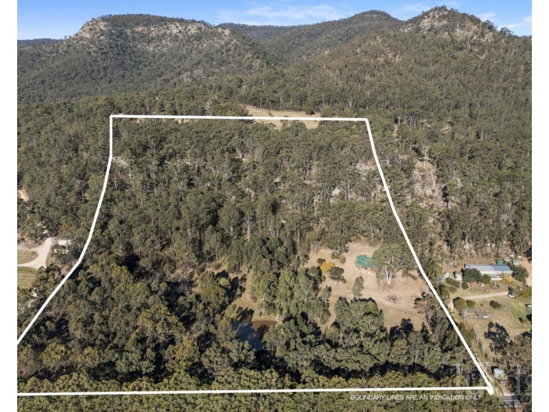 697 Wollombi Road, Broke NSW 2330