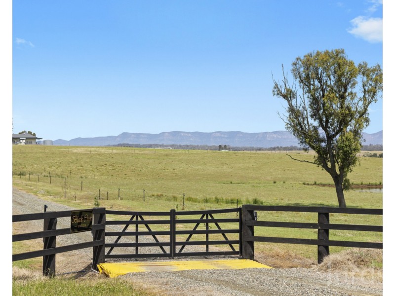 317c Elderslie Road, Branxton NSW 2335