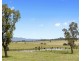 317c Elderslie Road, Branxton NSW 2335