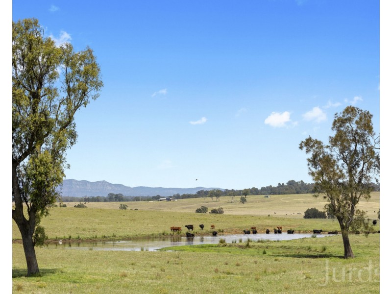 317c Elderslie Road, Branxton NSW 2335