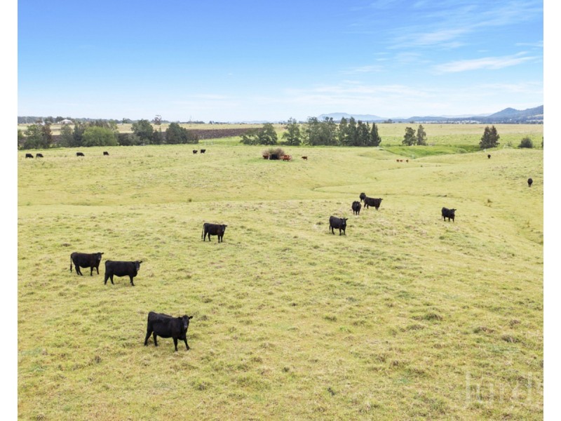 317c Elderslie Road, Branxton NSW 2335