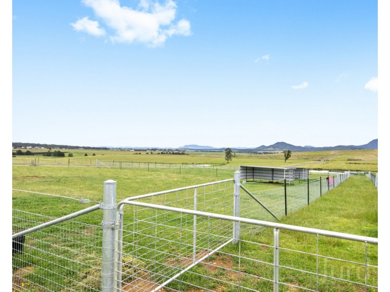 317c Elderslie Road, Branxton NSW 2335