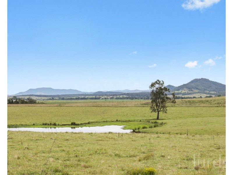 317c Elderslie Road, Branxton NSW 2335