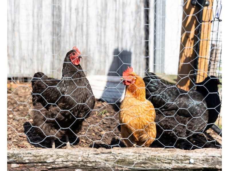 37 Mavis Street, Cessnock NSW 2325