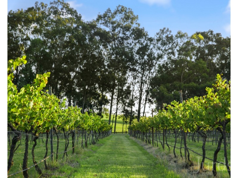 168 Palmers Lane, Pokolbin NSW 2320