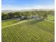 168 Palmers Lane, Pokolbin NSW 2320