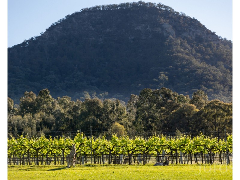 1594 Broke Road, Pokolbin NSW 2320