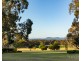 1594 Broke Road, Pokolbin NSW 2320