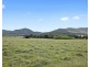 610 Wollombi Road, Broke NSW 2330