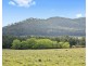 610 Wollombi Road, Broke NSW 2330