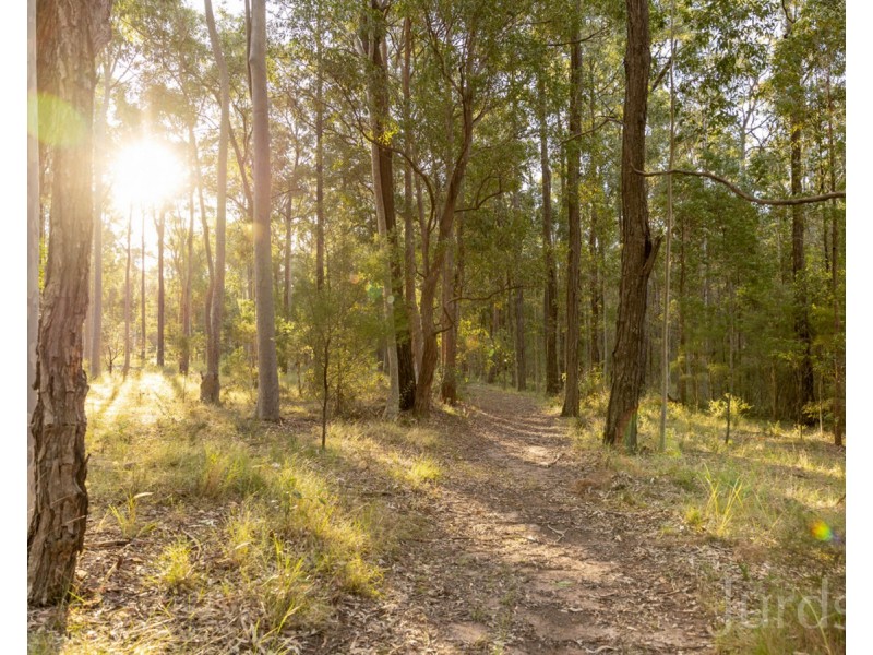 245 Sandy Creek Road, Mount Vincent NSW 2323