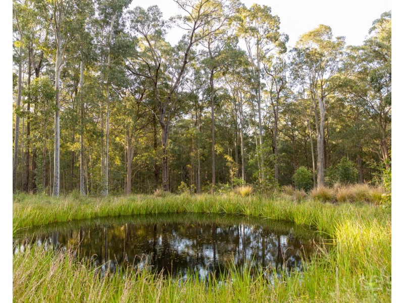 245 Sandy Creek Road, Mount Vincent NSW 2323