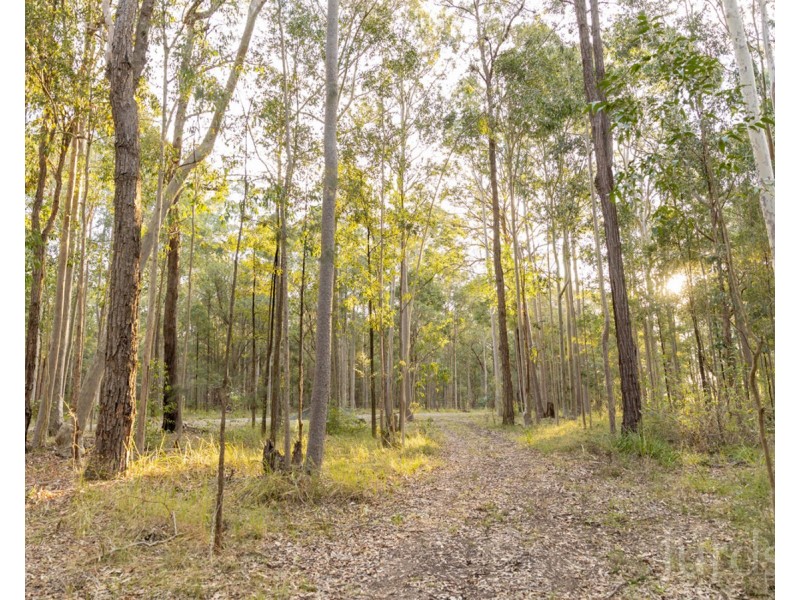 245 Sandy Creek Road, Mount Vincent NSW 2323