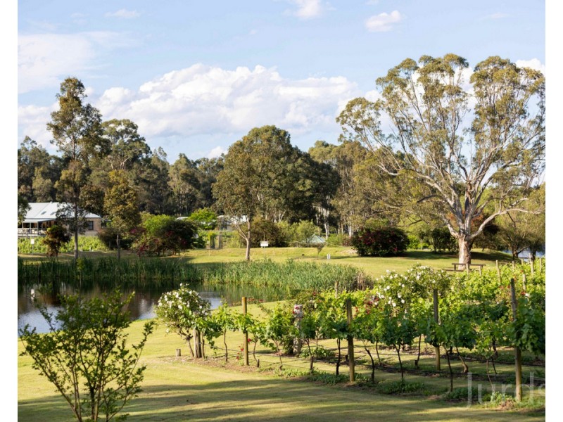Lot 30 Kelman Vineyard, 2 Oakey Creek Road, Pokolbin NSW 2320
