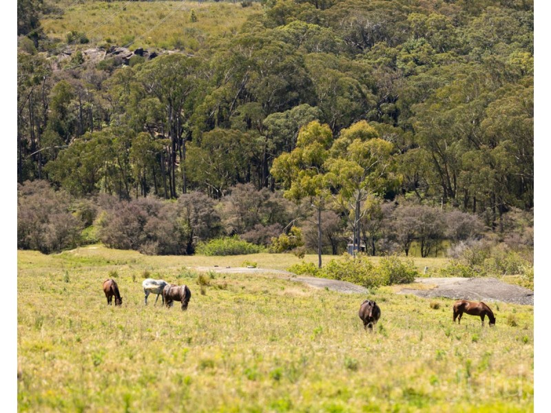 Lot 1502 Ironbark Road, Mangrove Mountain NSW 2250