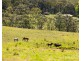 Lot 1502 Ironbark Road, Mangrove Mountain NSW 2250