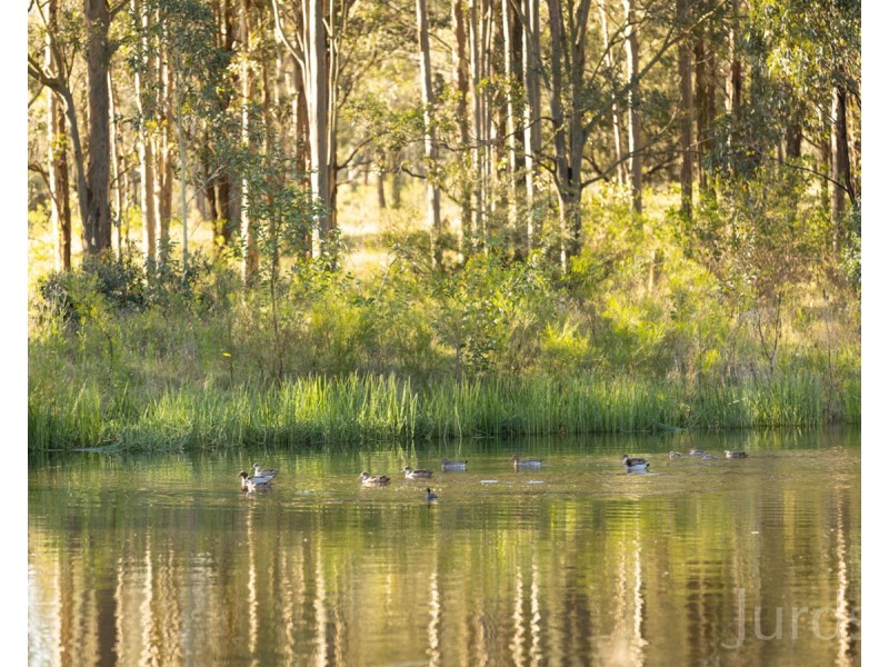 215 McMullins Road, Branxton NSW 2335