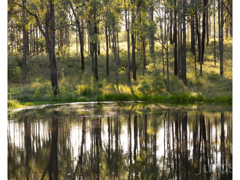 215 McMullins Road, Branxton NSW 2335