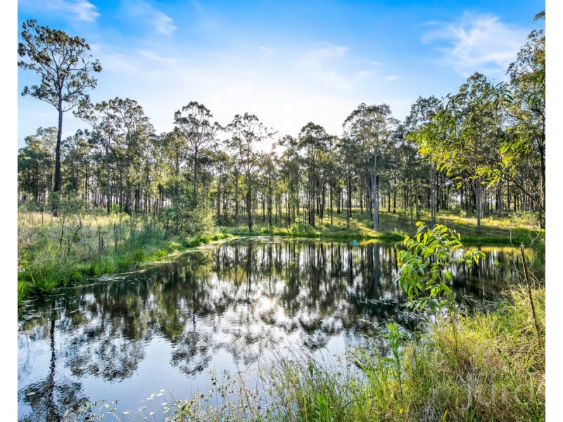 215 McMullins Road, Branxton NSW 2335