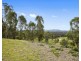 113 Q3 Private Access Road, Ellalong NSW 2325