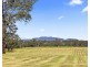 181 Roughit Lane, Roughit NSW 2330