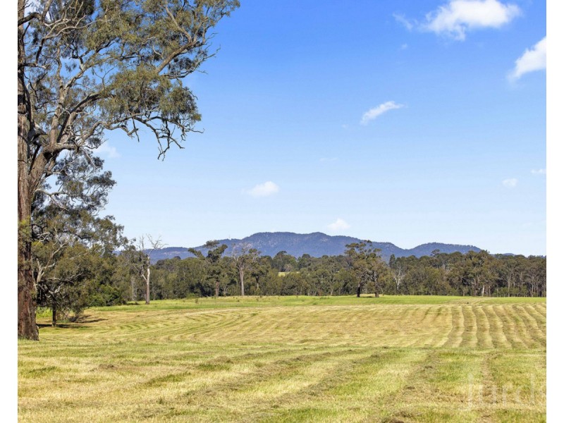 181 Roughit Lane, Roughit NSW 2330