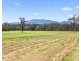 181 Roughit Lane, Roughit NSW 2330
