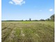 181 Roughit Lane, Roughit NSW 2330