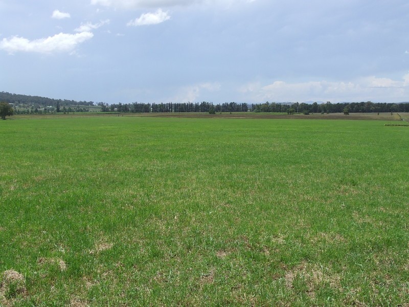 155c Milbrodale Road, Broke NSW 2330