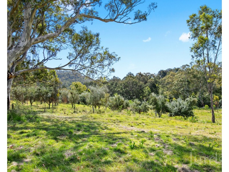 86 Hayes Road, Millfield NSW 2325