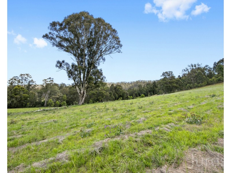 86 Hayes Road, Millfield NSW 2325