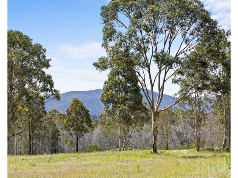 Millfield NSW 2325