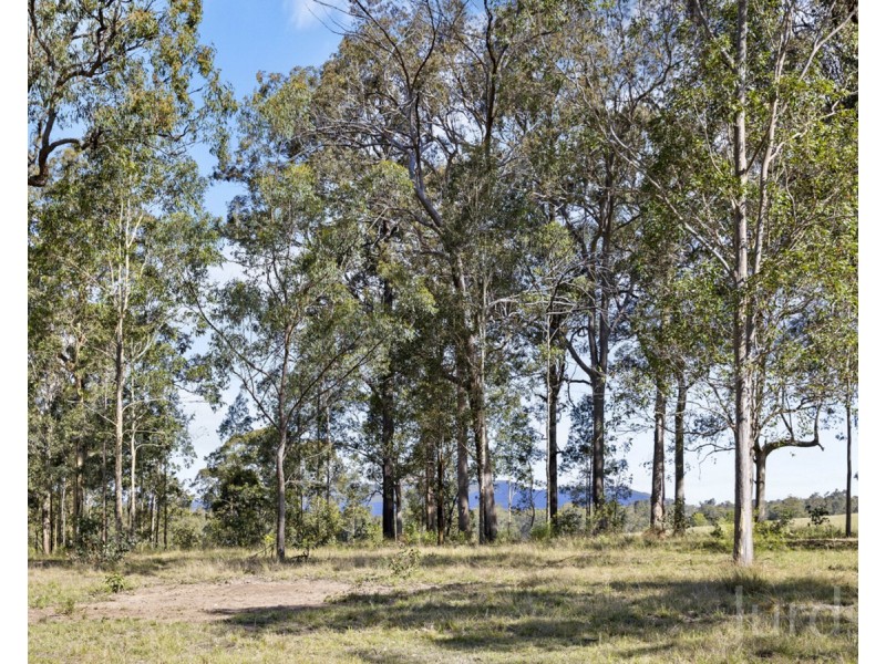 Millfield NSW 2325
