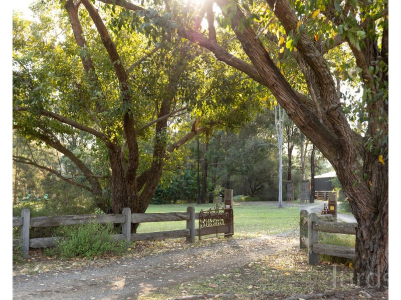 65 Wollombi Street, Broke NSW 2330