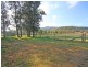 2641 Putty Road, Milbrodale NSW 2330