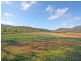 2641 Putty Road, Milbrodale NSW 2330