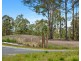 Lot 213 Pillar Street, Bellbird NSW 2325