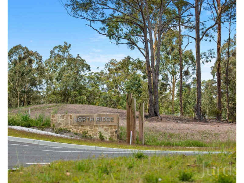 Lot 213 Pillar Street, Bellbird NSW 2325