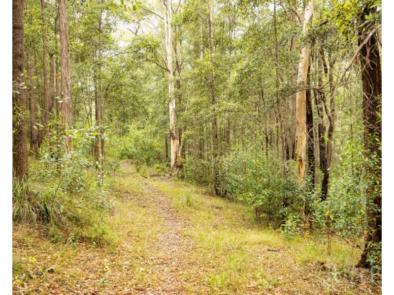 708 Lake Road, Elrington NSW 2325